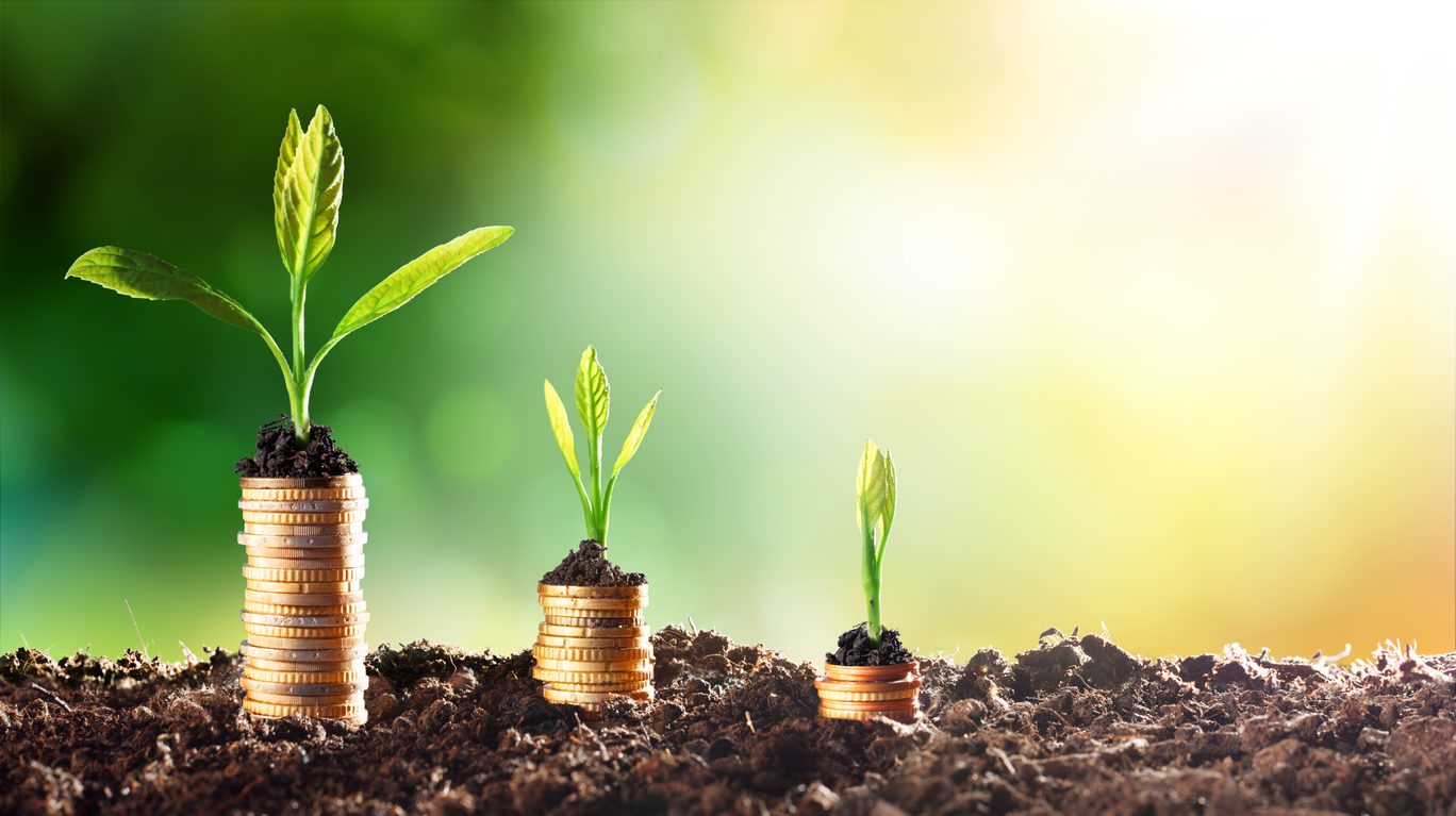 la croissance de l'argent