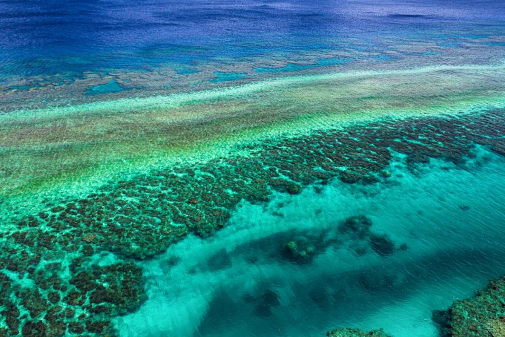 Île de Corail